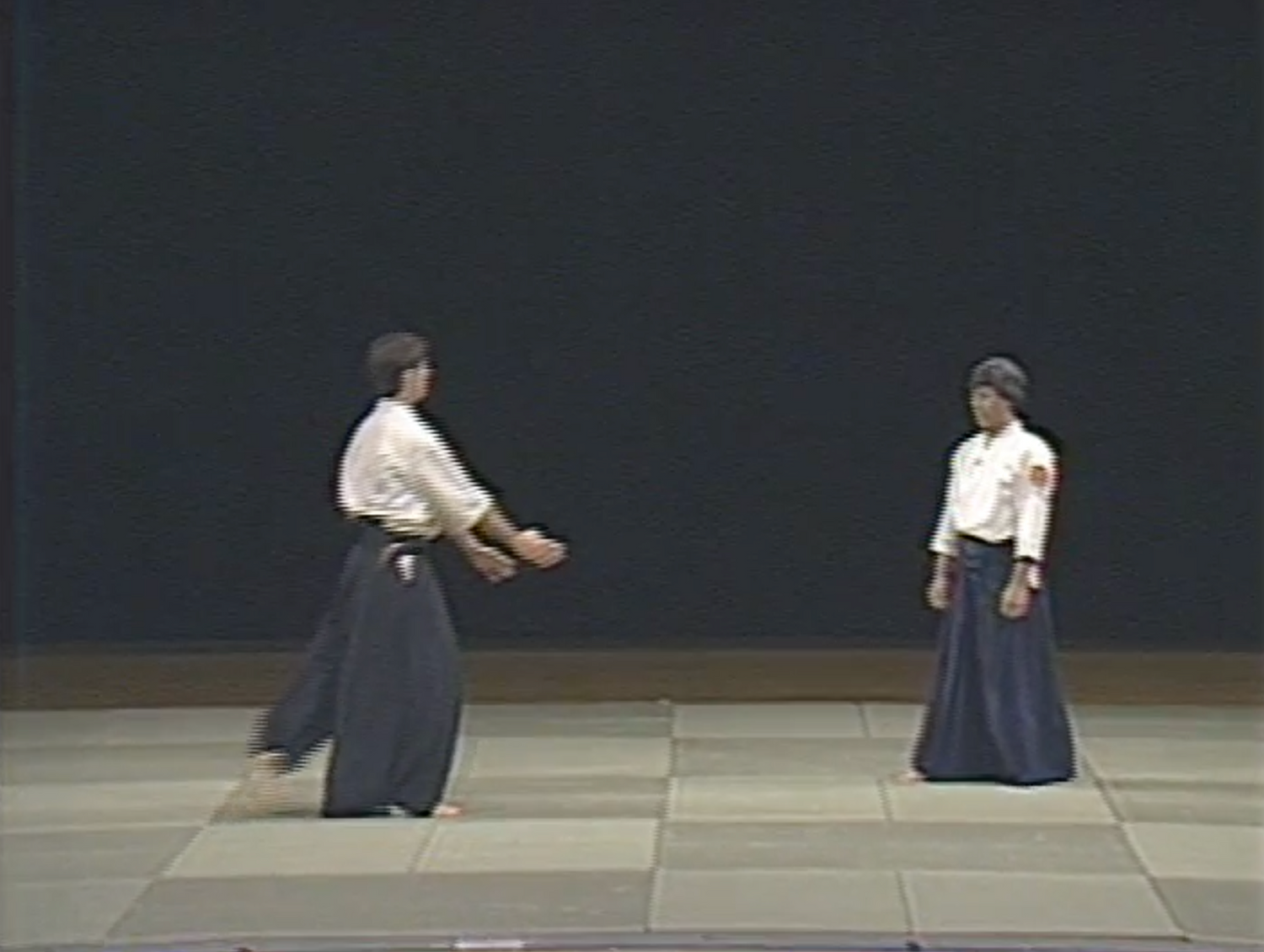 1st Aikido Friendship Demo DVD 1 (Preowned) - Budovideos