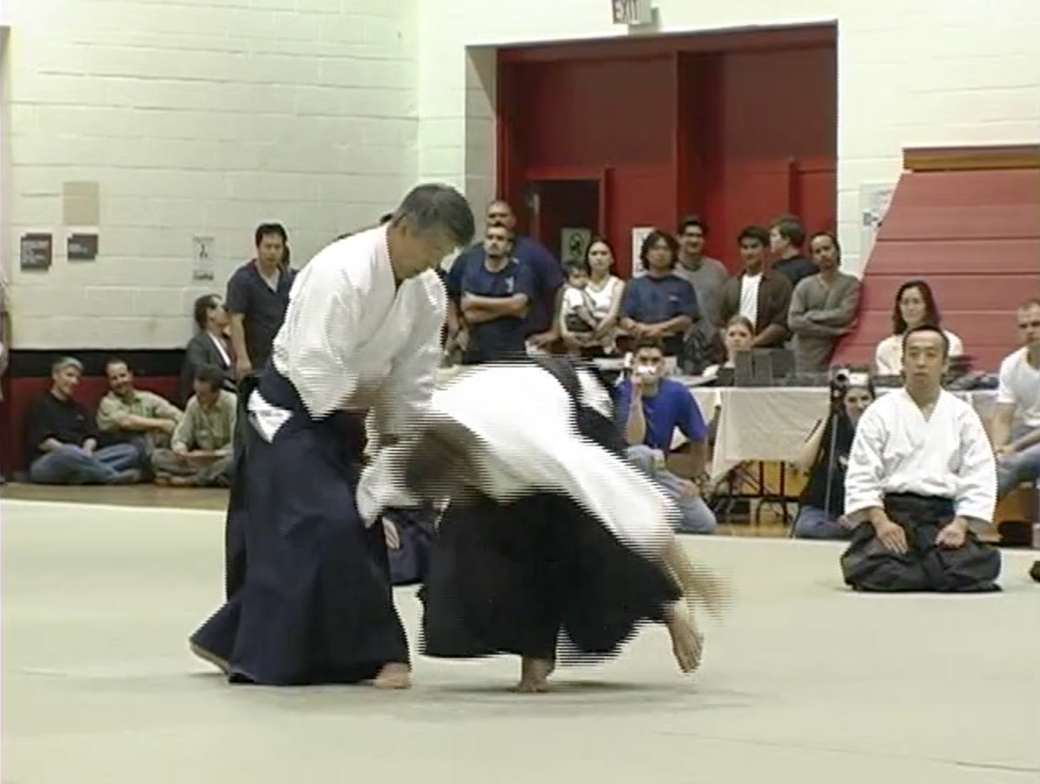 Aiki Expo 2003 Demonstrations Part 2 DVD (Preowned) - Budovideos