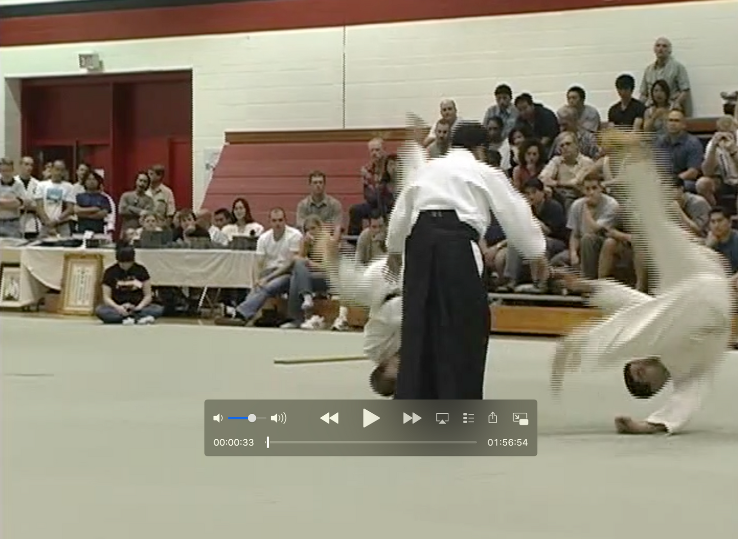 Aiki Expo 2003 Demonstrations Part 2 DVD (Preowned) - Budovideos