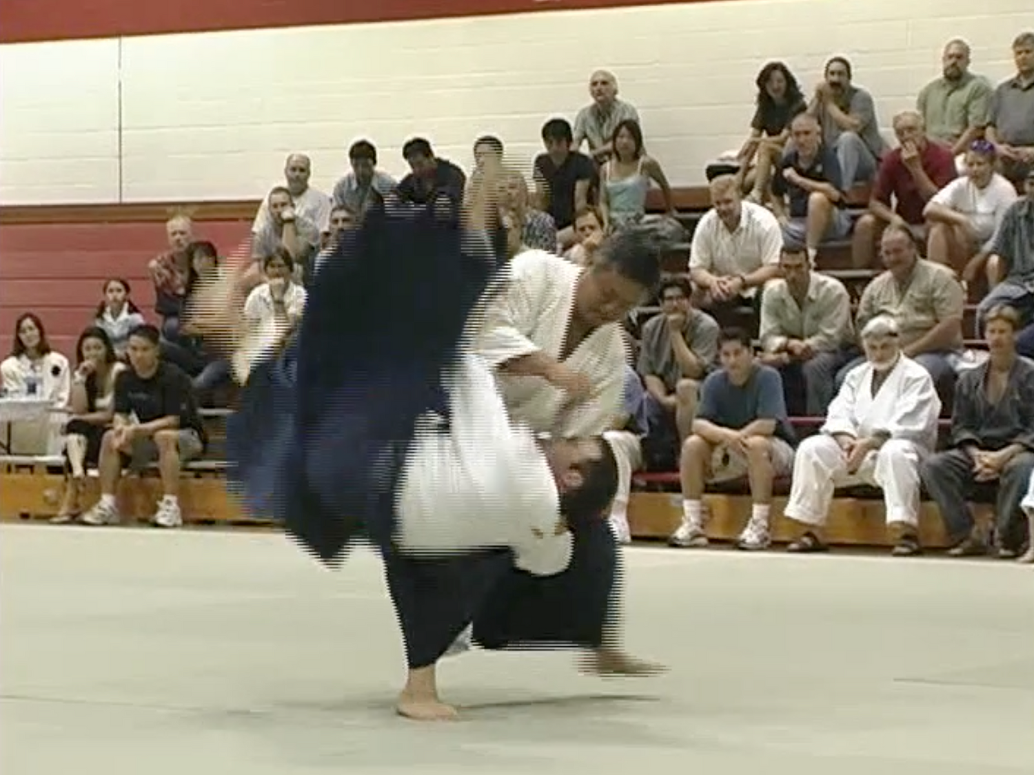 Aiki Expo 2003 Demonstrations Part 2 DVD (Preowned) - Budovideos