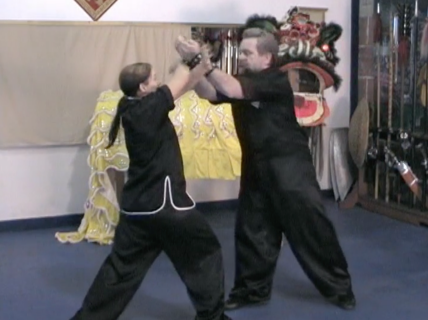 Fu Hok Seong Yin Kuen Tiger & Crane Set DVD by Eddie Lane (Preowned) - Budovideos