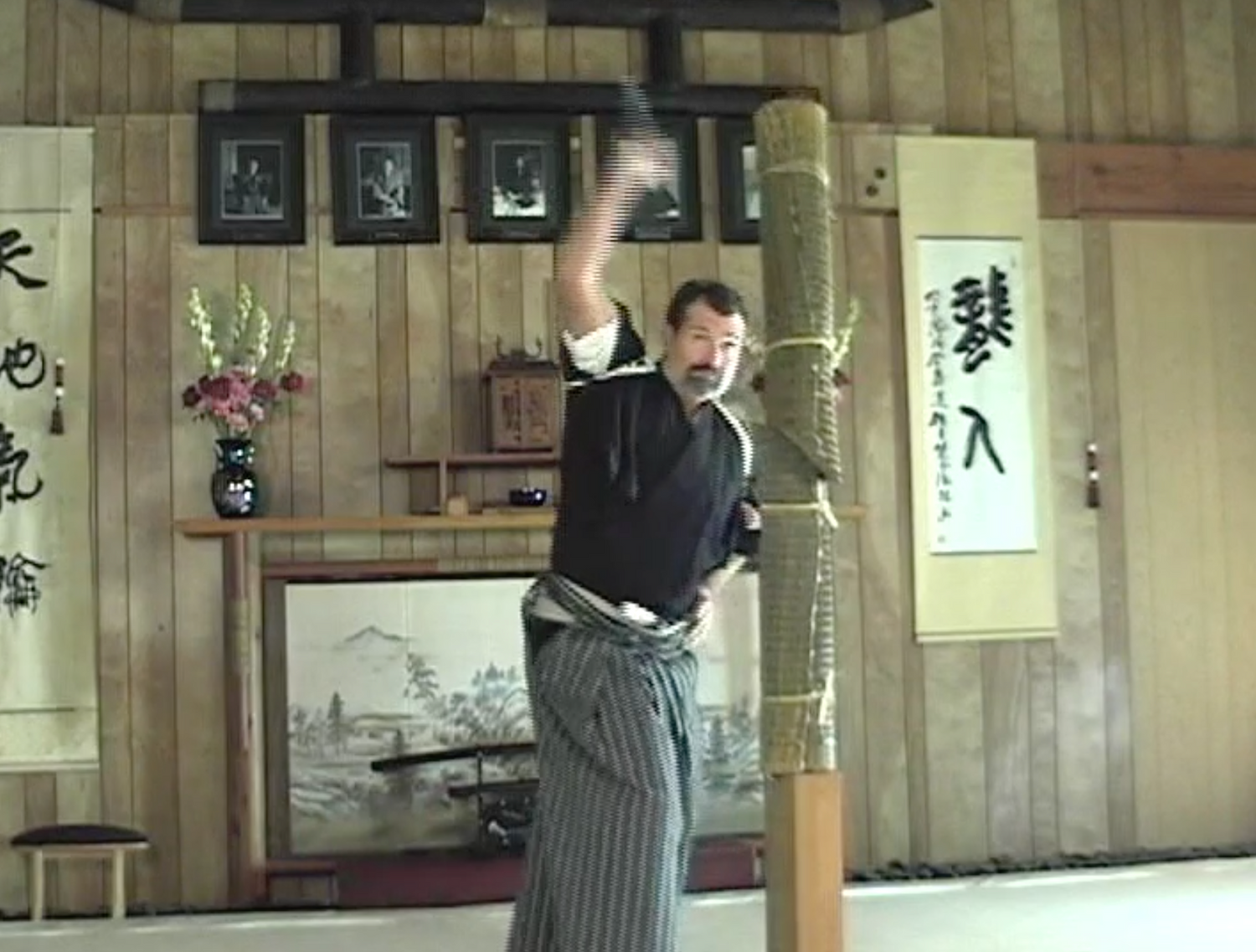 Nami Ryu Iaijutsu DVD by James Williams (Preowned) - Budovideos