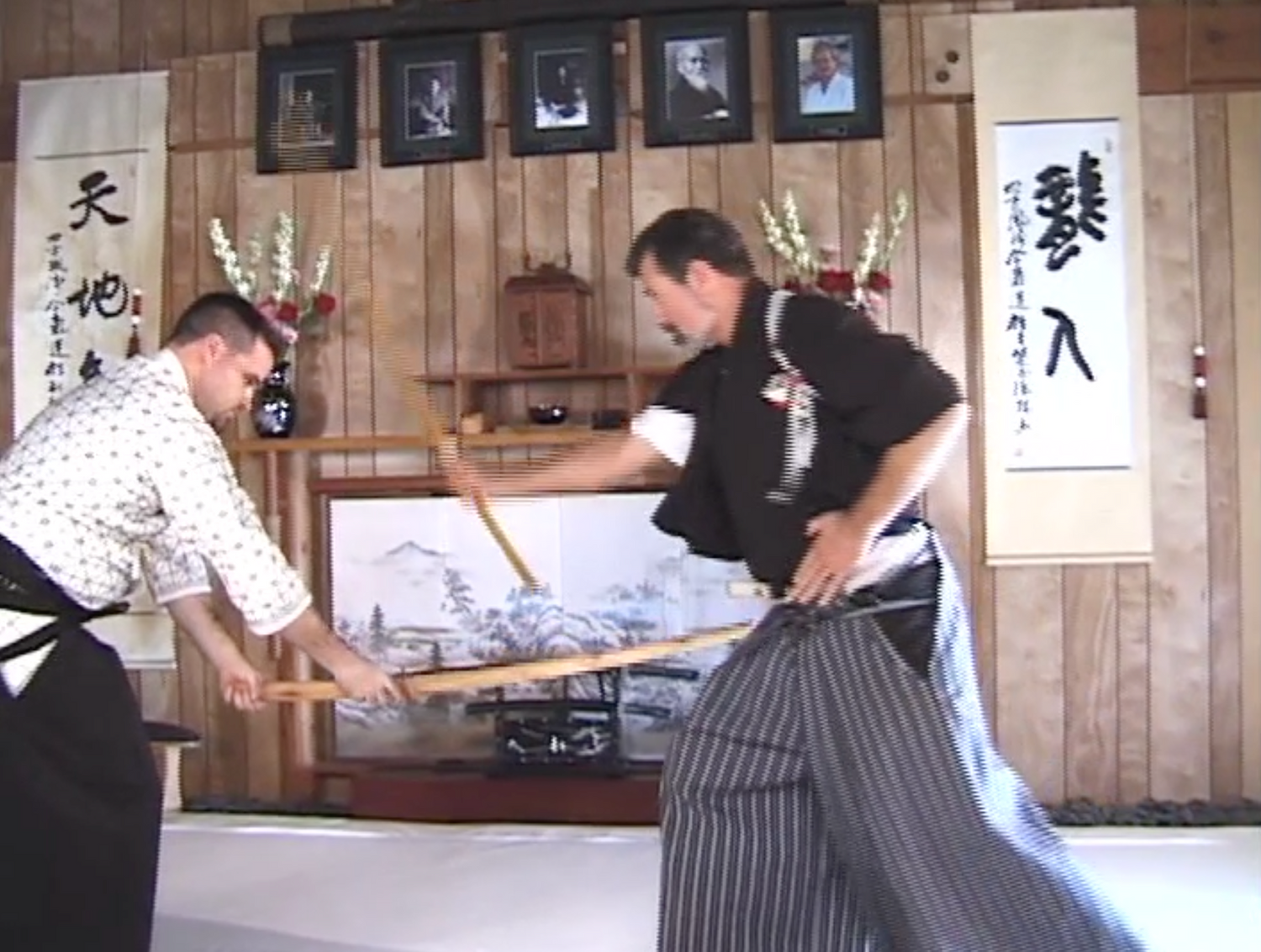 Nami Ryu Iaijutsu DVD by James Williams (Preowned) - Budovideos