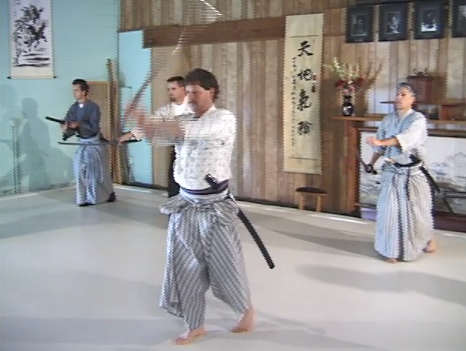 Nami Ryu Iaijutsu DVD by James Williams (Preowned) - Budovideos