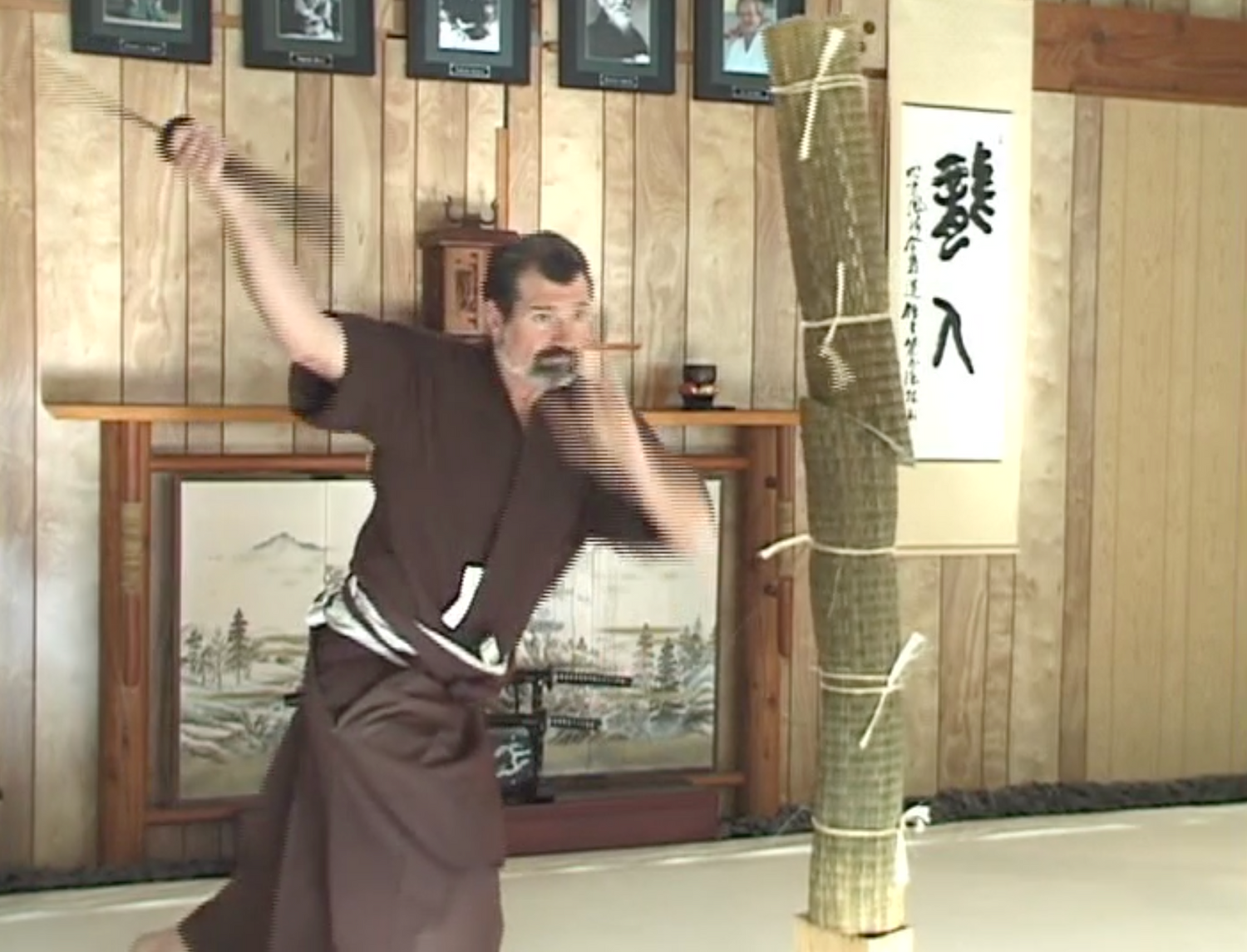 Nami Ryu Iaijutsu DVD by James Williams (Preowned) - Budovideos