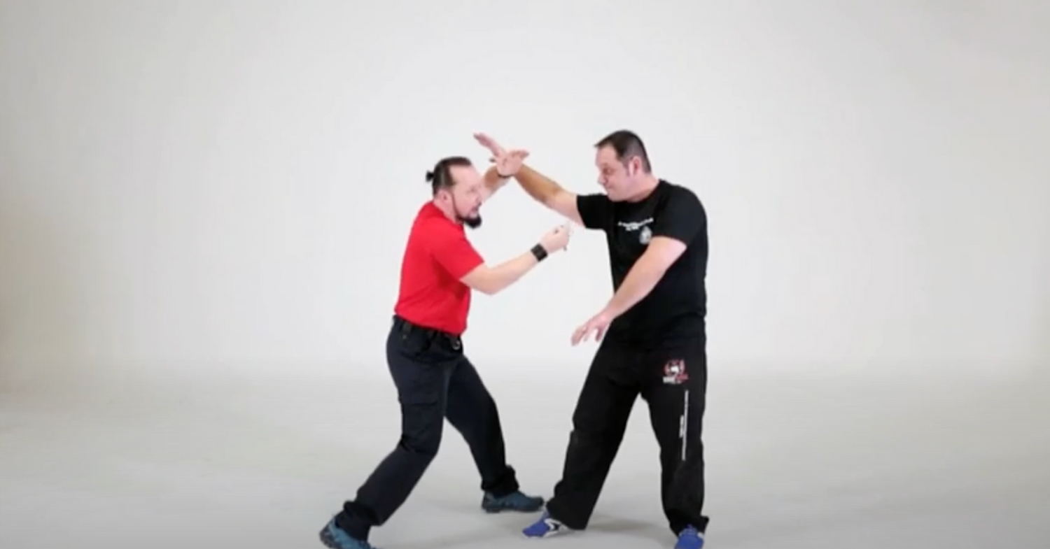 DSDWS Dulas Self Defense Whistle Stick DVD by Ado Dulas - Budovideos