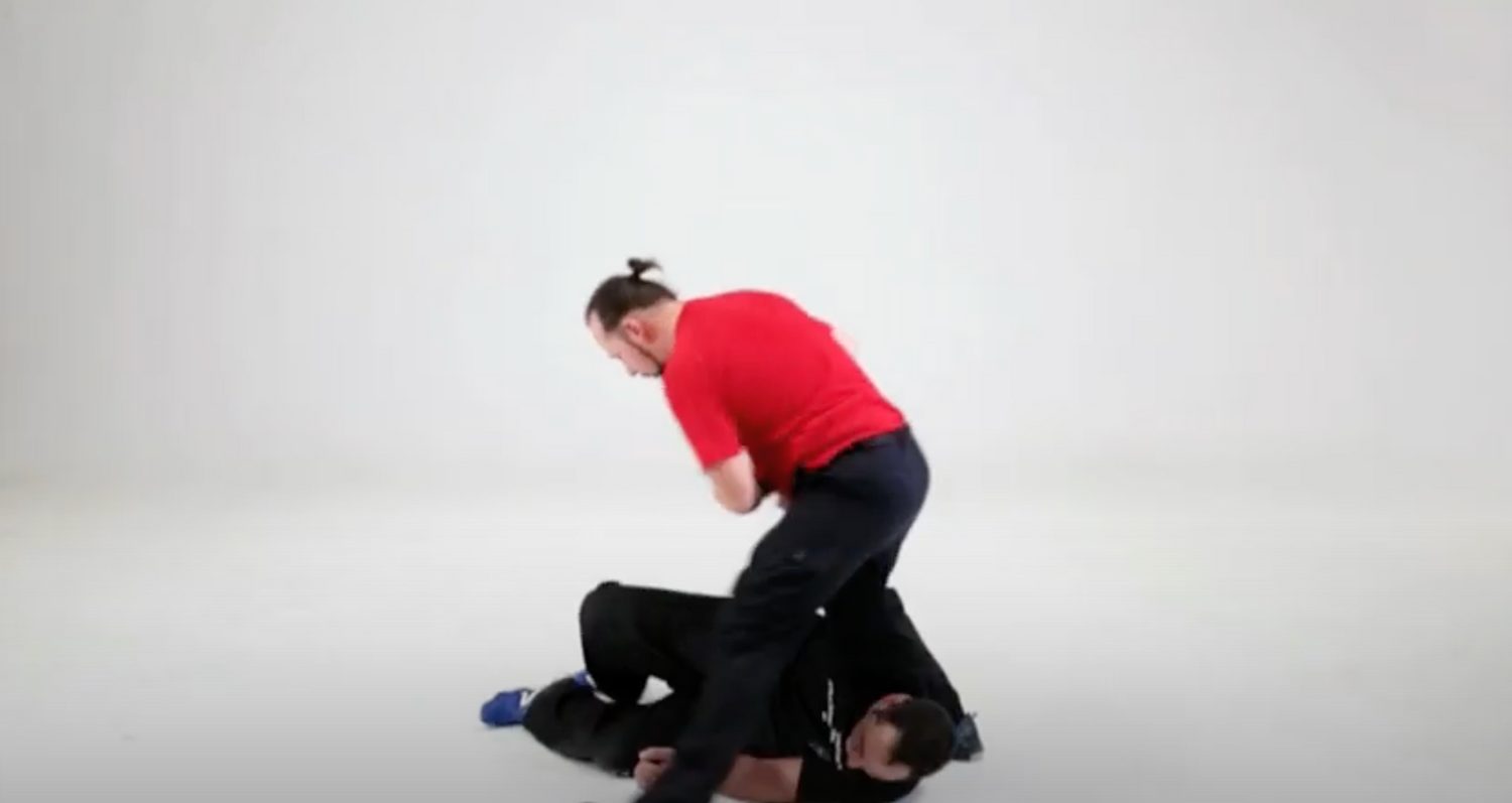 DSDWS Dulas Self Defense Whistle Stick DVD by Ado Dulas - Budovideos