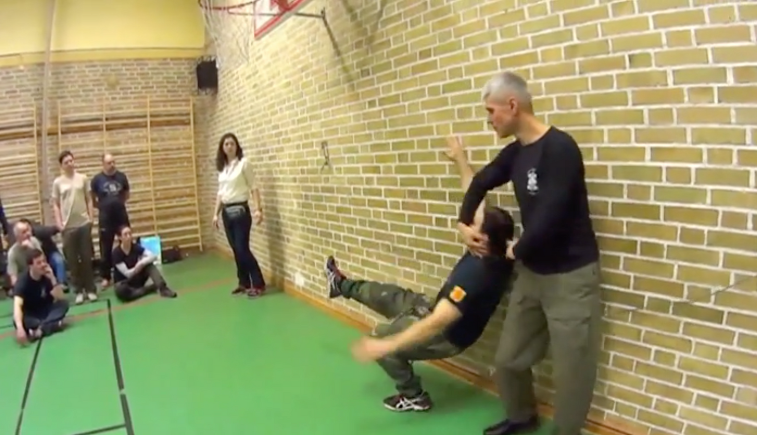 RMA Systema SV Sweden Seminar 2017 Vol 1 with Dmitry Skogorev (On Demand) - Budovideos