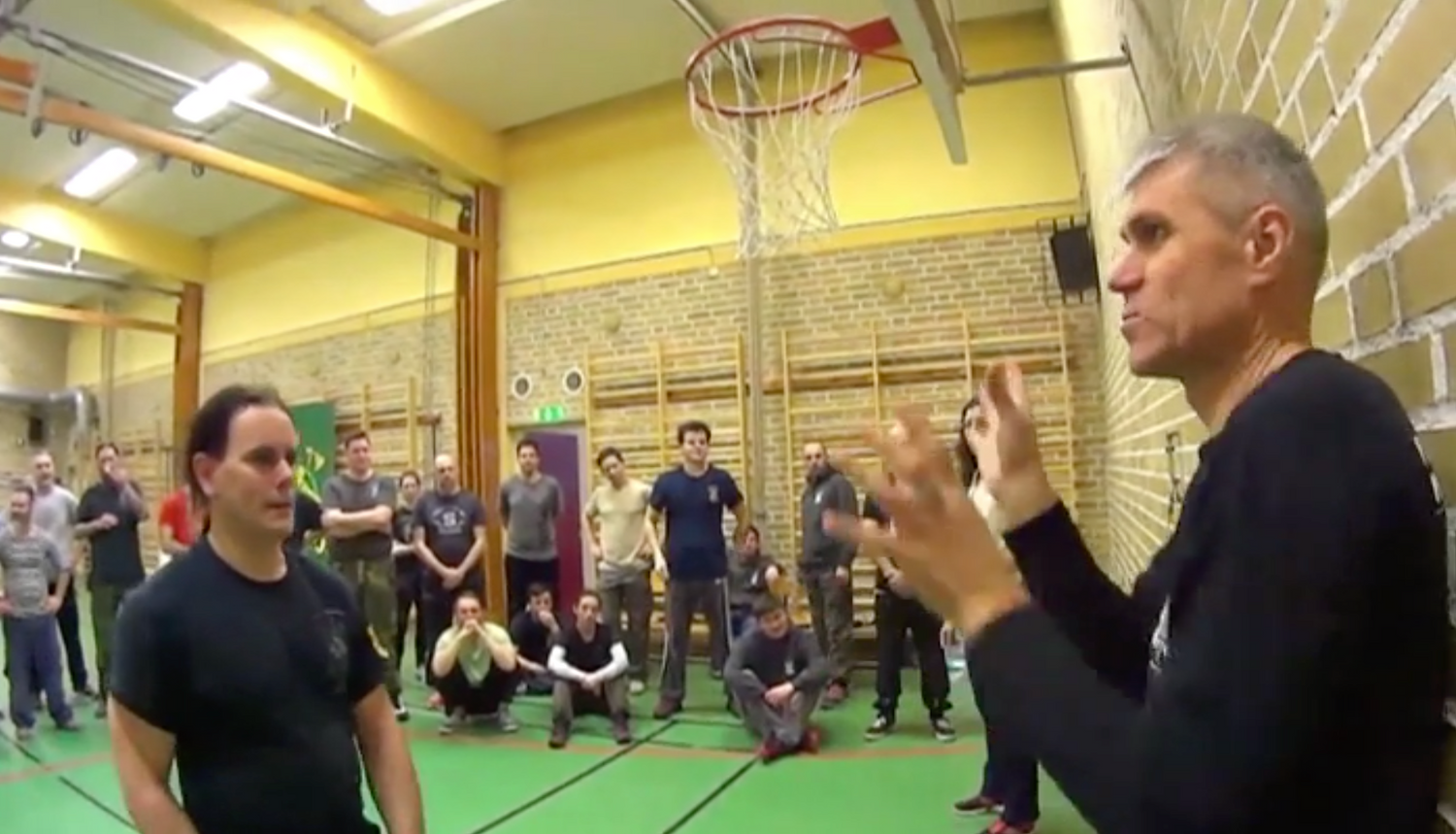 RMA Systema SV Sweden Seminar 2017 Vol 1 with Dmitry Skogorev (On Demand) - Budovideos