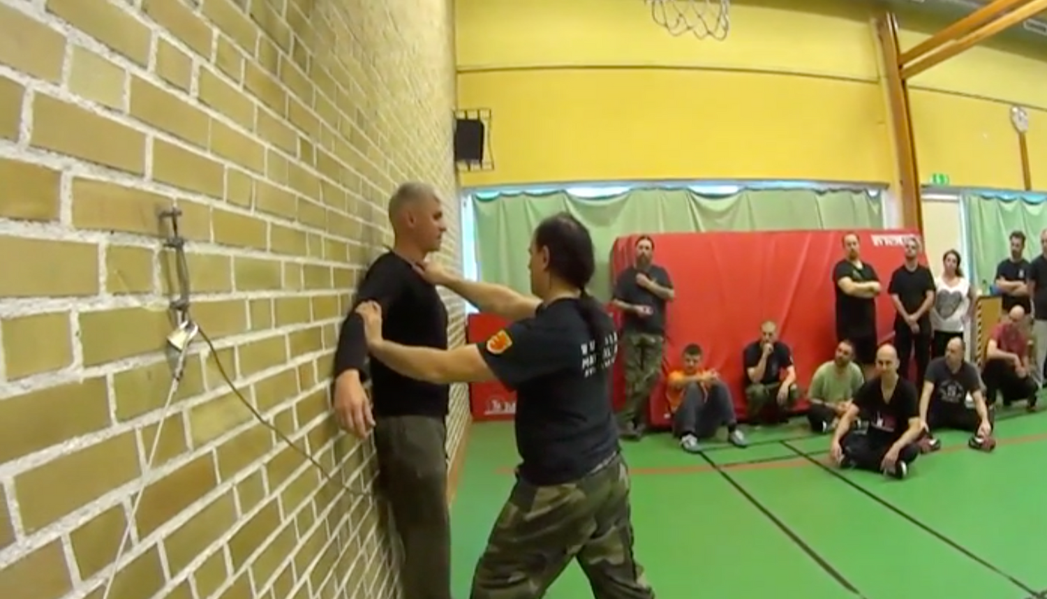 RMA Systema SV Sweden Seminar 2017 Vol 1 with Dmitry Skogorev (On Demand) - Budovideos