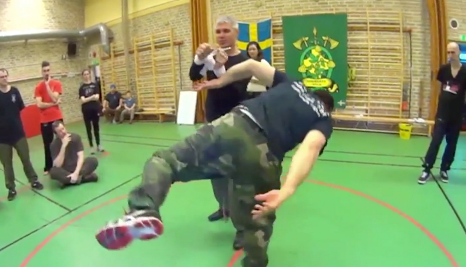 RMA Systema SV Sweden Seminar 2017 Vol 1 with Dmitry Skogorev (On Demand) - Budovideos