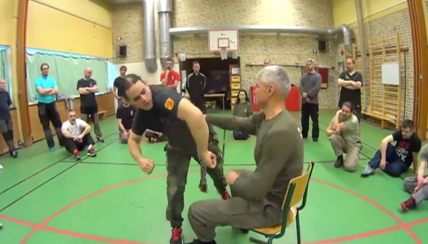 RMA Systema SV Sweden Seminar 2017 Vol 2 with Dmitry Skogorev (On Demand) - Budovideos