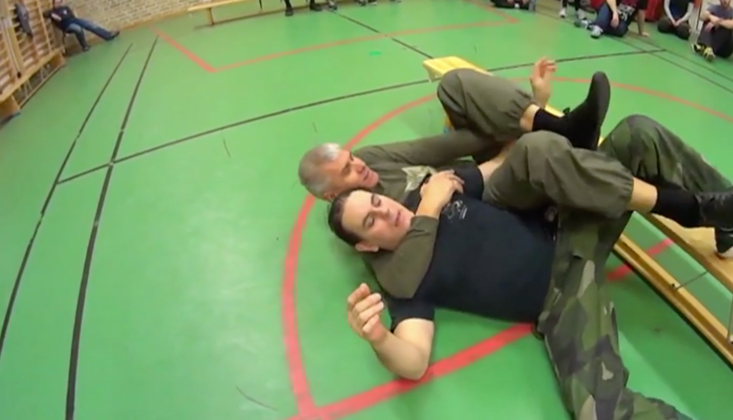 RMA Systema SV Sweden Seminar 2017 Vol 2 with Dmitry Skogorev (On Demand) - Budovideos