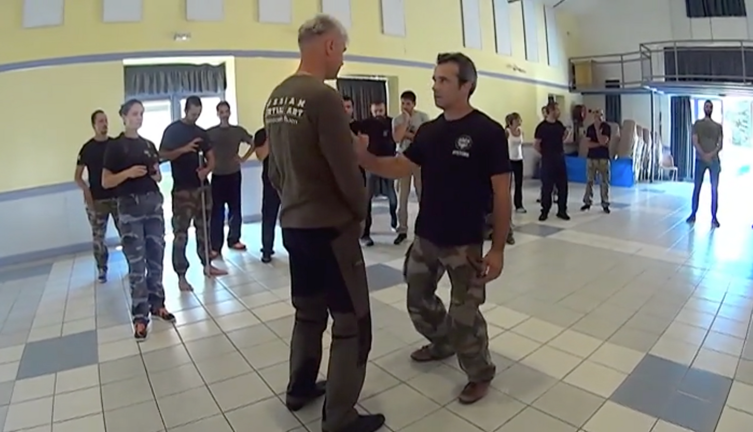 RMA Systema SV France Seminar 2017 Vol 1 with Dmitry Skogorev (On Demand) - Budovideos
