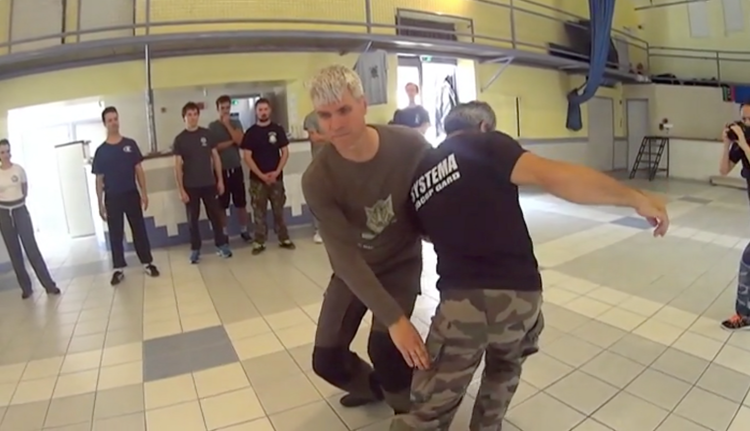 RMA Systema SV France Seminar 2017 Vol 1 with Dmitry Skogorev (On Demand) - Budovideos