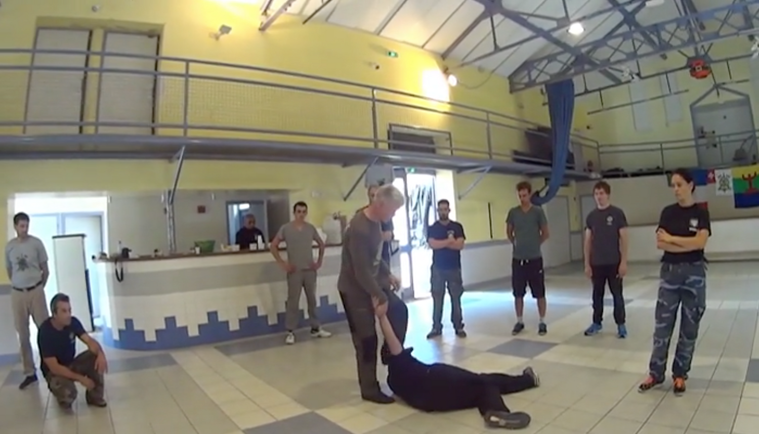 RMA Systema SV France Seminar 2017 Vol 1 with Dmitry Skogorev (On Demand) - Budovideos