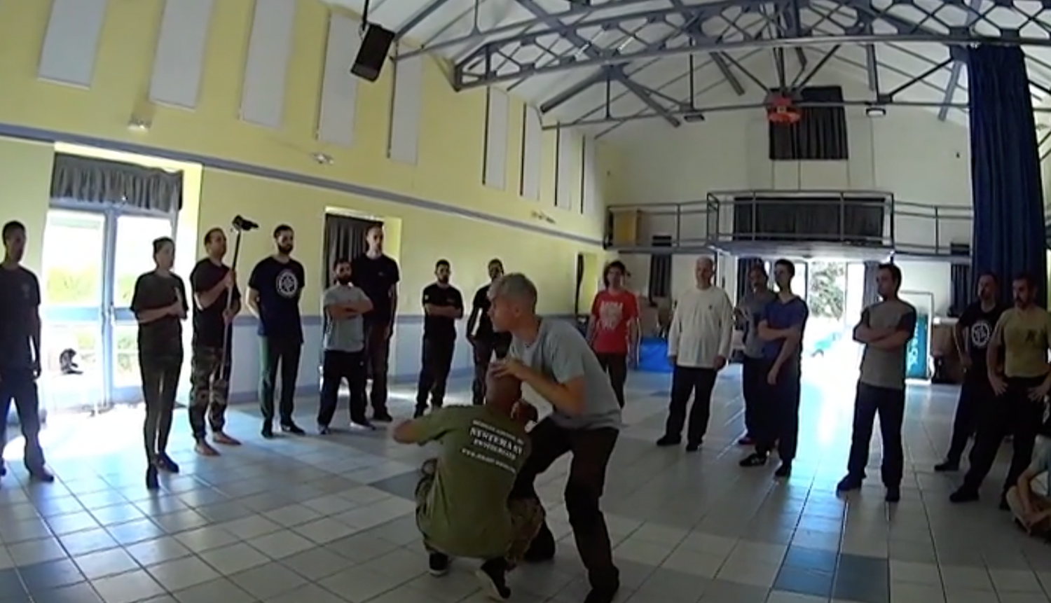 RMA Systema SV France Seminar 2017 Vol 1 with Dmitry Skogorev (On Demand) - Budovideos