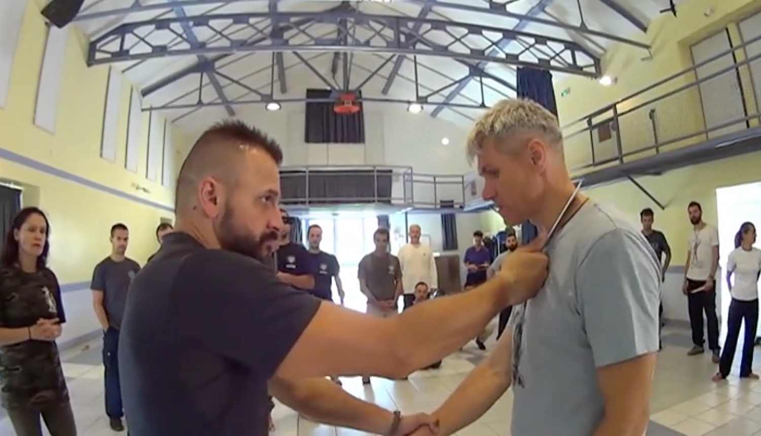 RMA Systema SV France Seminar 2017 Vol 2 with Dmitry Skogorev (On Demand) - Budovideos