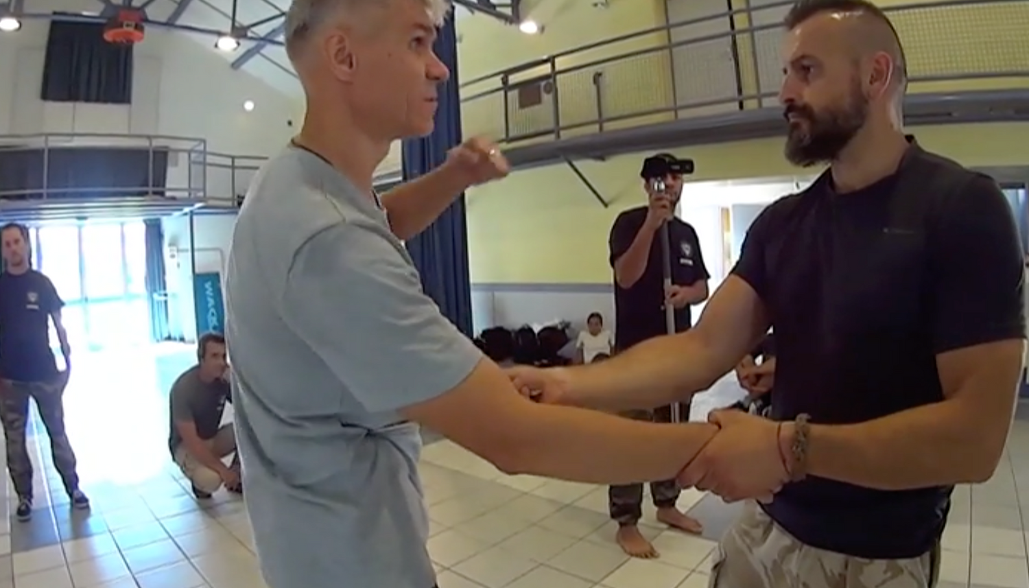 RMA Systema SV France Seminar 2017 Vol 2 with Dmitry Skogorev (On Demand) - Budovideos