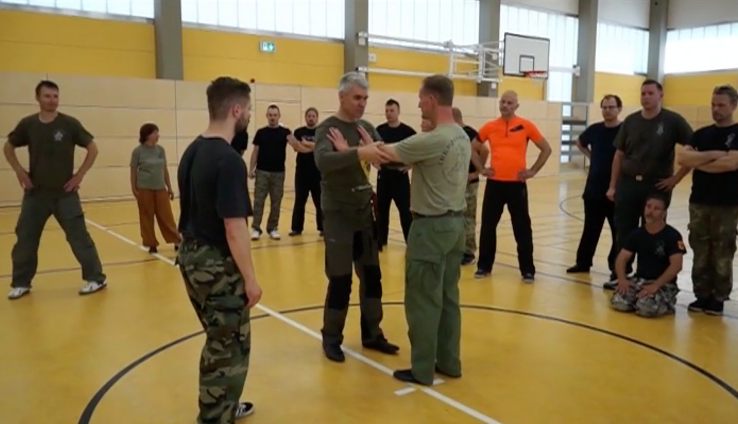 RMA Systema SV Germany 2018 Seminar Vol 1 with Dmitry Skogorev (On Demand) - Budovideos