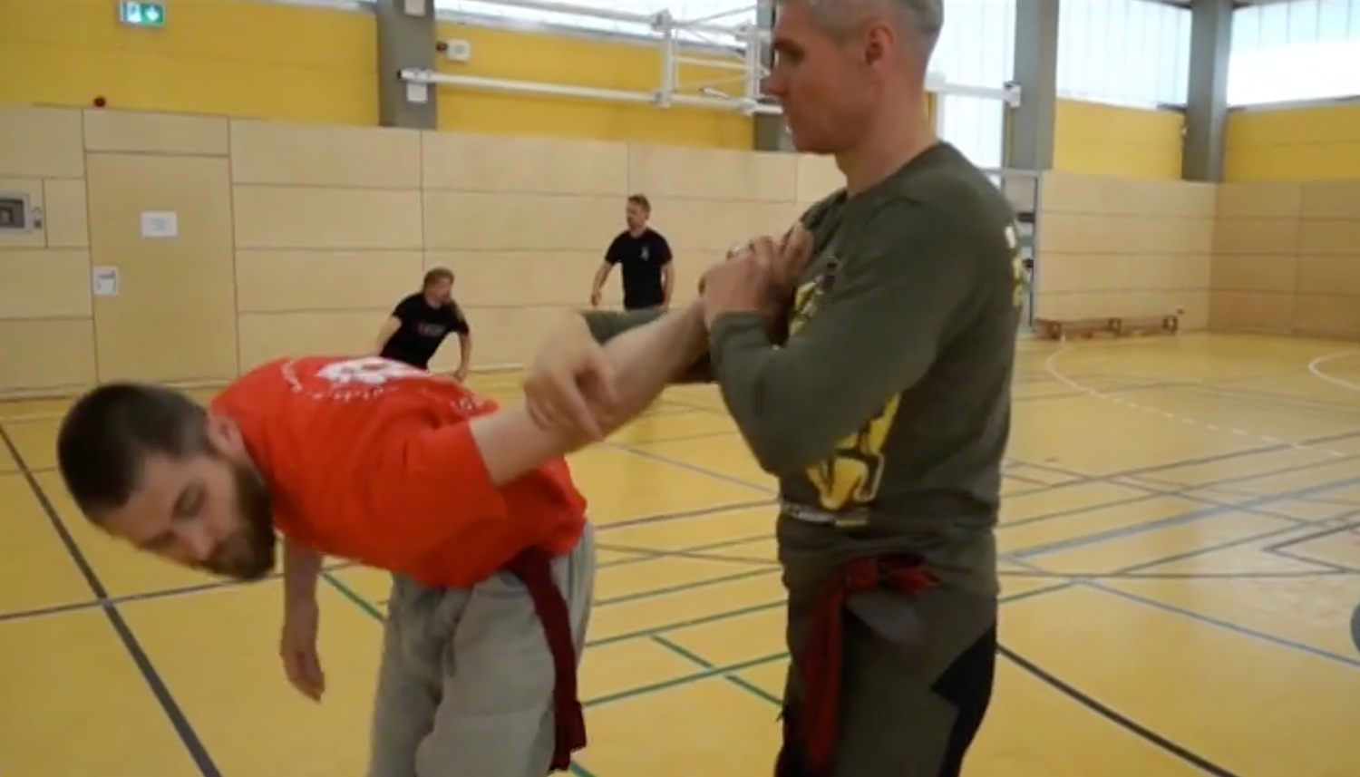 RMA Systema SV Germany 2018 Seminar Vol 1 with Dmitry Skogorev (On Demand) - Budovideos