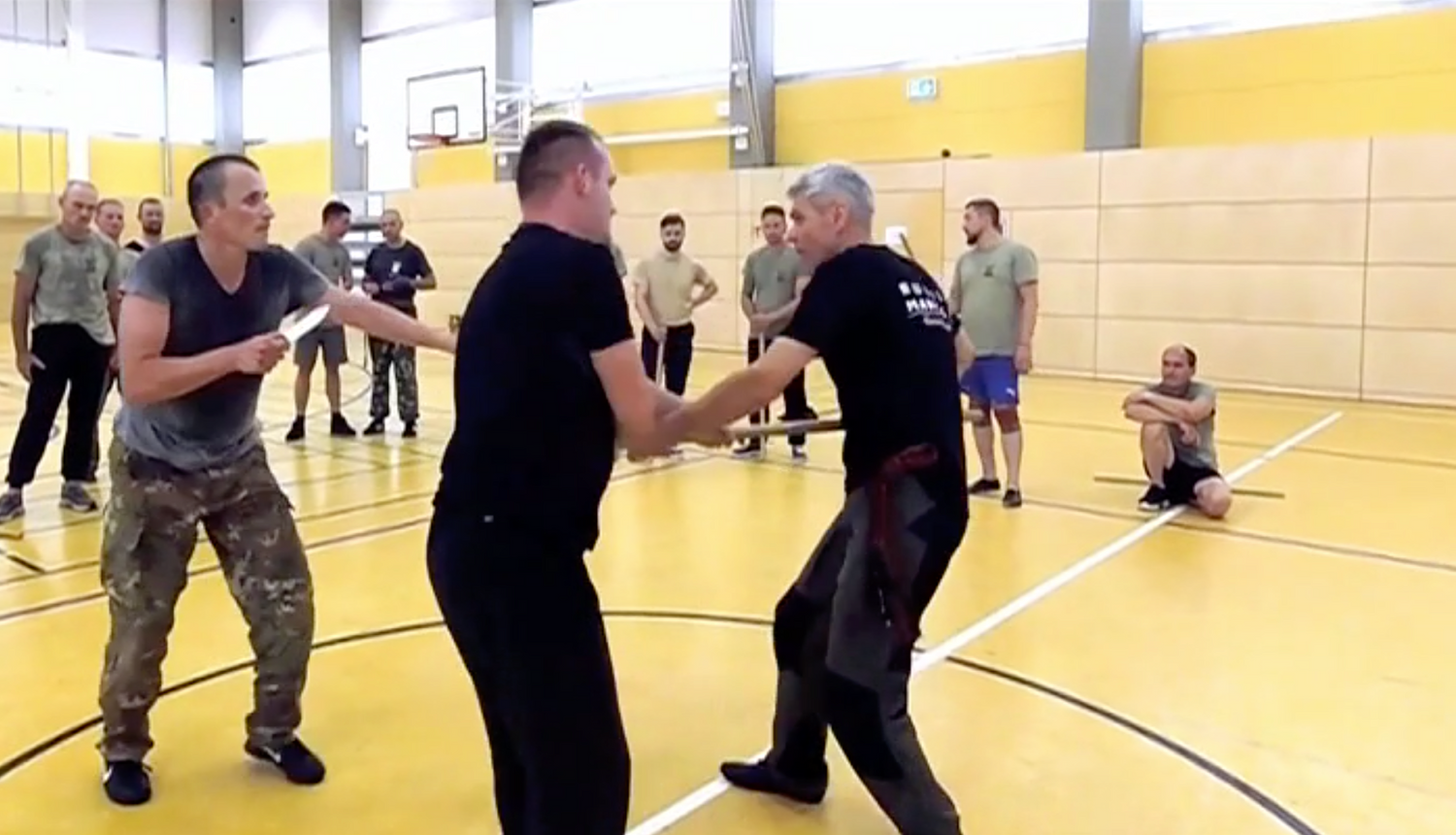 RMA Systema SV Germany 2018 Seminar Vol 2 with Dmitry Skogorev (On Demand) - Budovideos