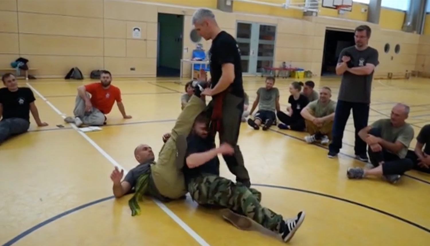 RMA Systema SV Germany 2018 Seminar Vol 2 with Dmitry Skogorev (On Demand) - Budovideos