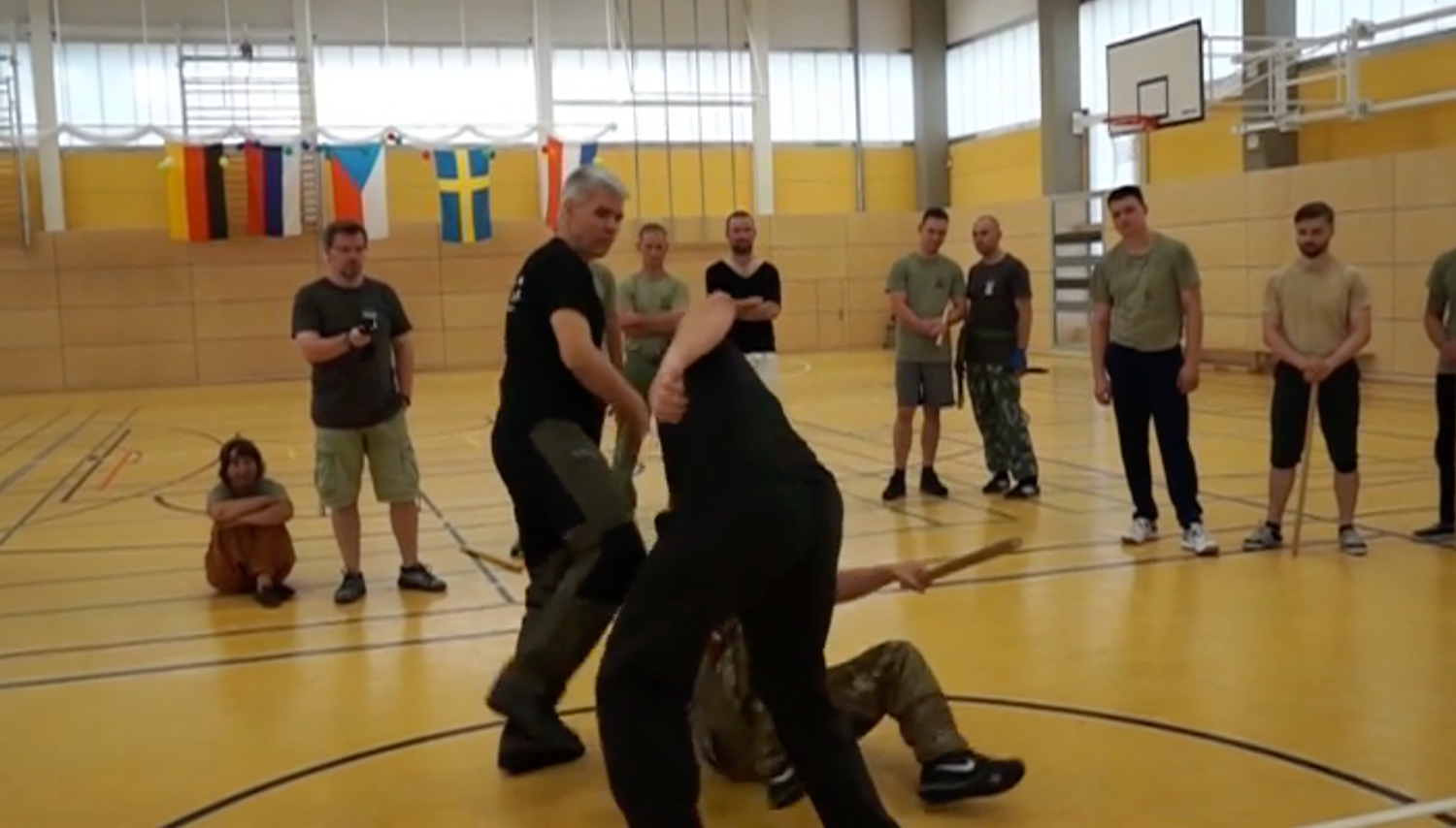 RMA Systema SV Germany 2018 Seminar Vol 2 with Dmitry Skogorev (On Demand) - Budovideos