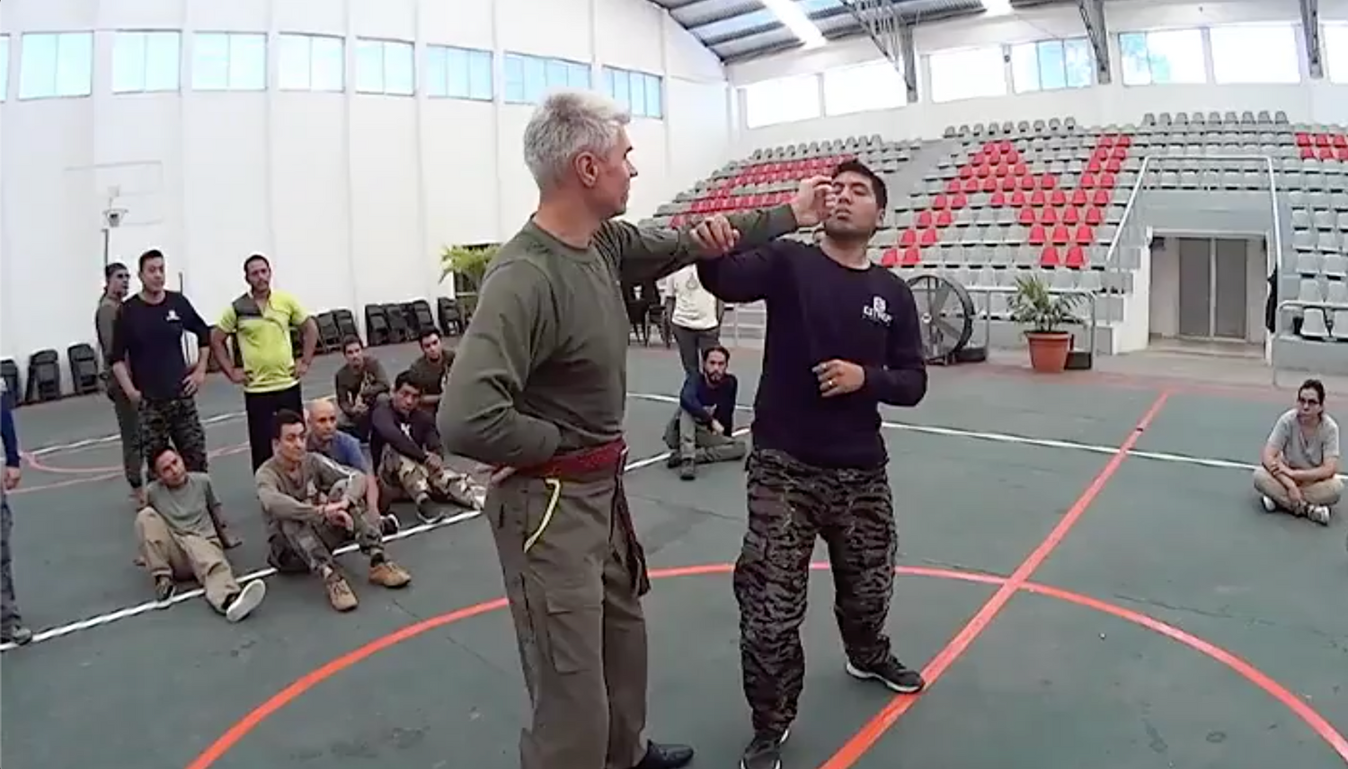 RMA Systema SV 2017 Mexico Seminar Vol 1 with Dmitry Skogorev (On Demand) - Budovideos