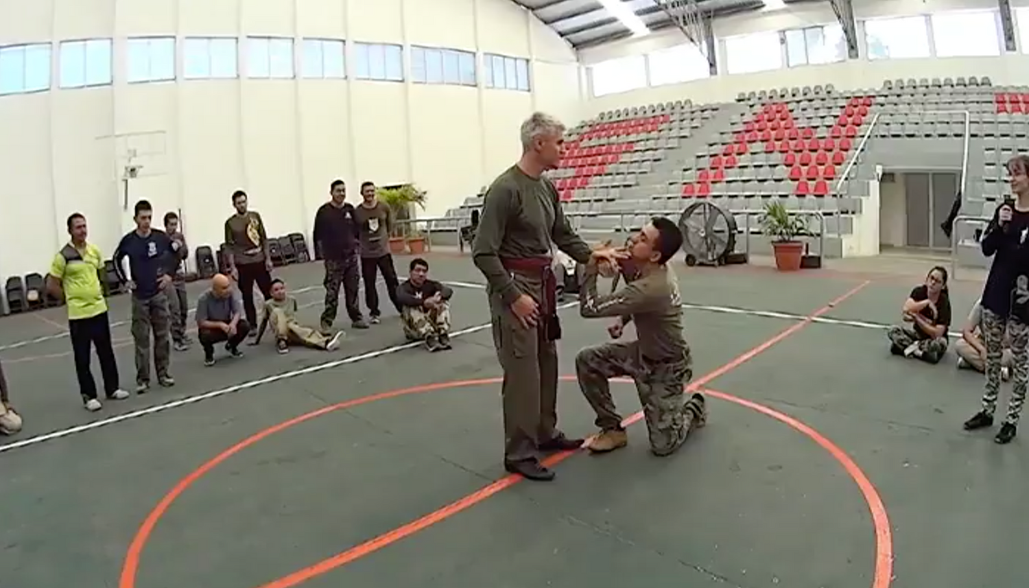 RMA Systema SV 2017 Mexico Seminar Vol 1 with Dmitry Skogorev (On Demand) - Budovideos