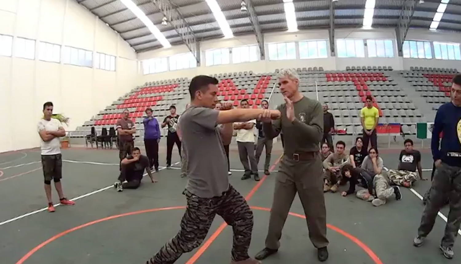 RMA Systema SV 2017 Mexico Seminar Vol 1 with Dmitry Skogorev (On Demand) - Budovideos