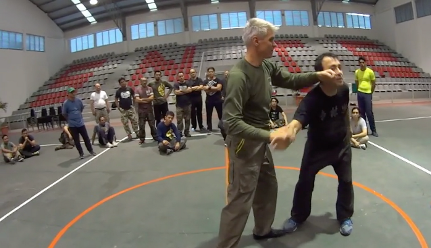 RMA Systema SV 2017 Mexico Seminar Vol 2 with Dmitry Skogorev (On Demand) - Budovideos