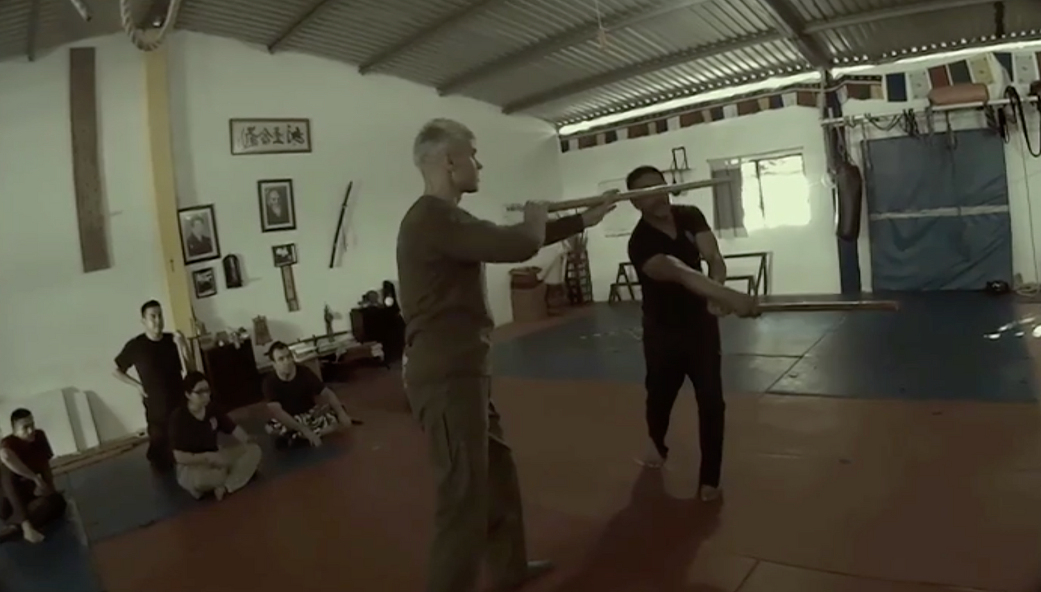 RMA Systema SV 2017 Mexico Seminar Vol 2 with Dmitry Skogorev (On Demand) - Budovideos