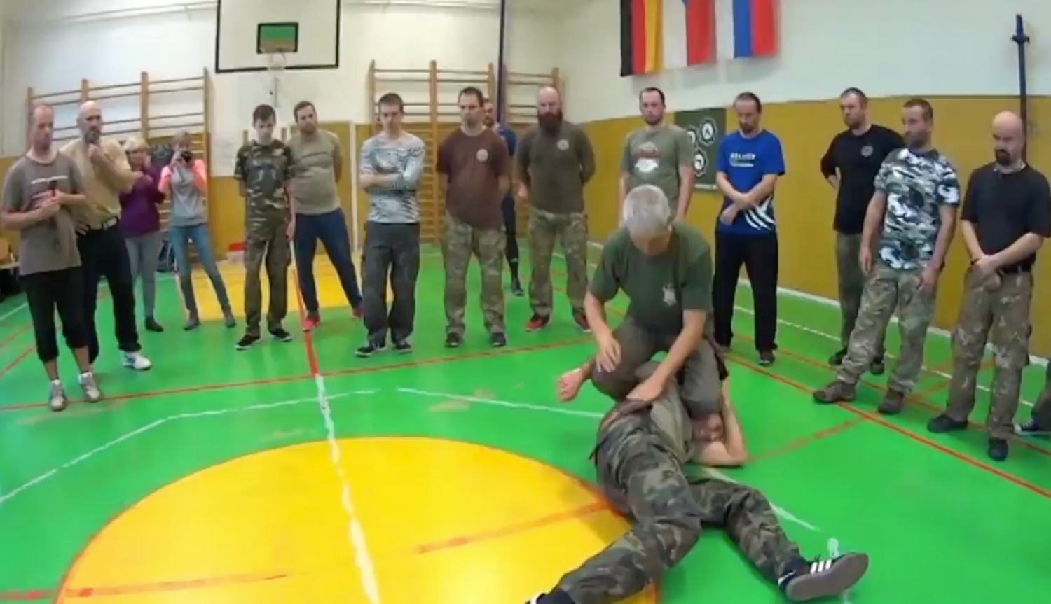 RMA Systema SV Czech Republic Seminar 2017 Vol 1 with Dmitry Skogorev (On Demand) - Budovideos