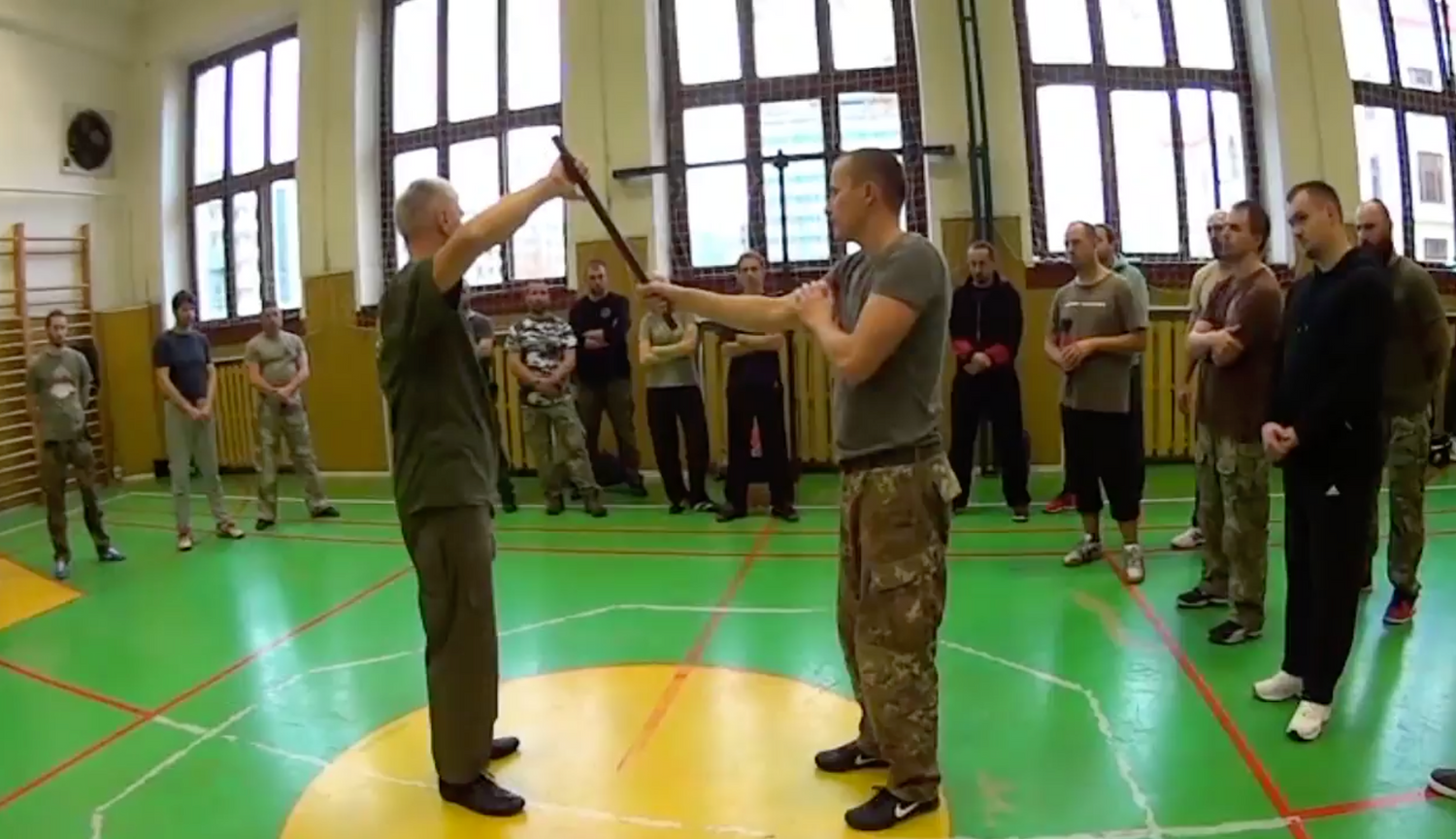 RMA Systema SV Czech Republic Seminar 2017 Vol 1 with Dmitry Skogorev (On Demand) - Budovideos