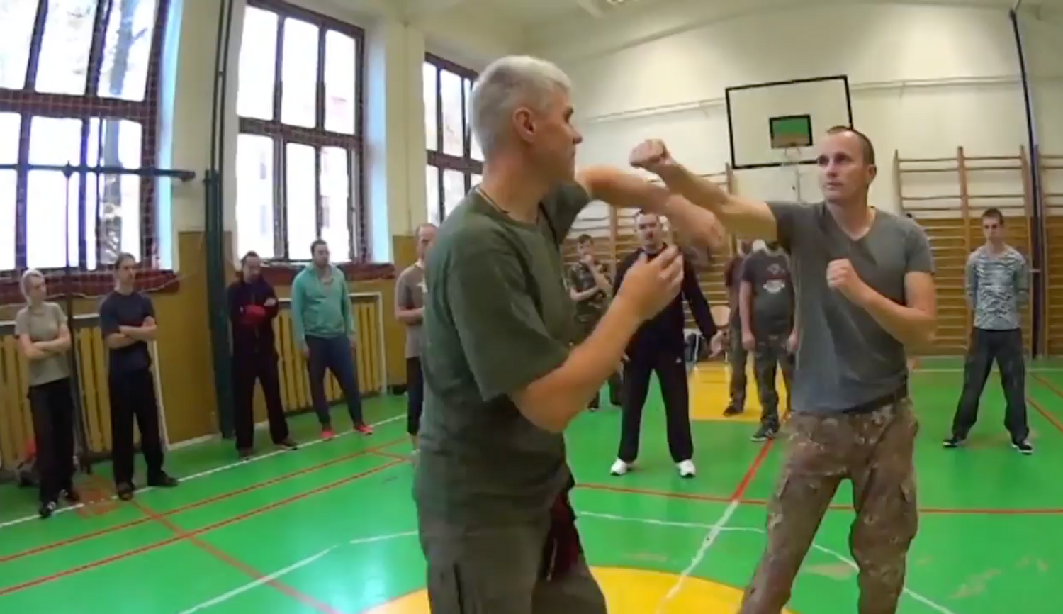 RMA Systema SV Czech Republic Seminar 2017 Vol 1 with Dmitry Skogorev (On Demand) - Budovideos