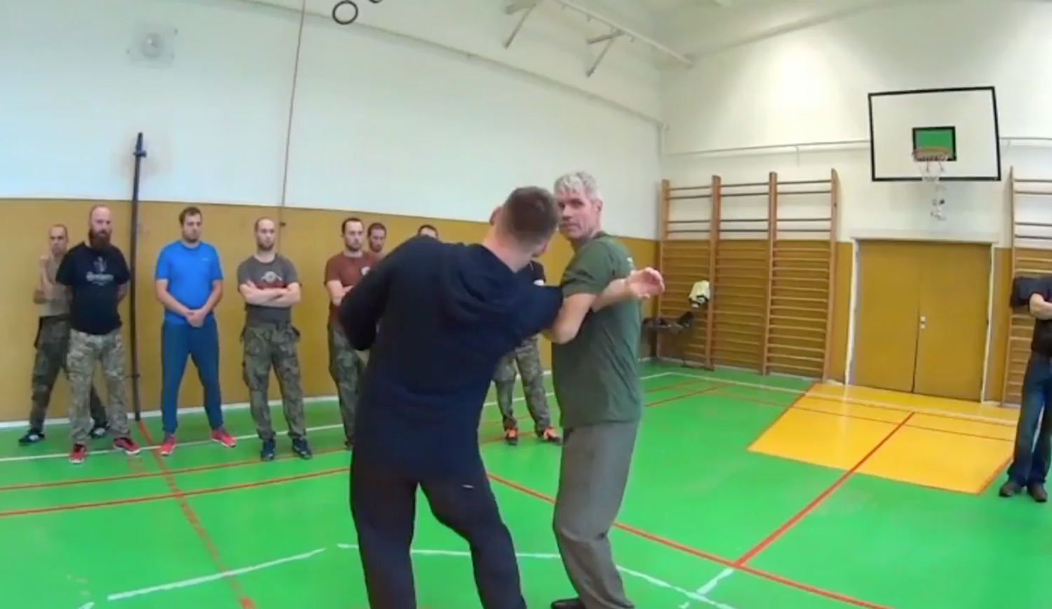 RMA Systema SV Czech Republic Seminar 2017 Vol 2 with Dmitry Skogorev (On Demand) - Budovideos