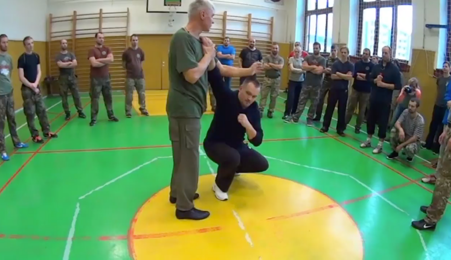 RMA Systema SV Czech Republic Seminar 2017 Vol 2 with Dmitry Skogorev (On Demand) - Budovideos