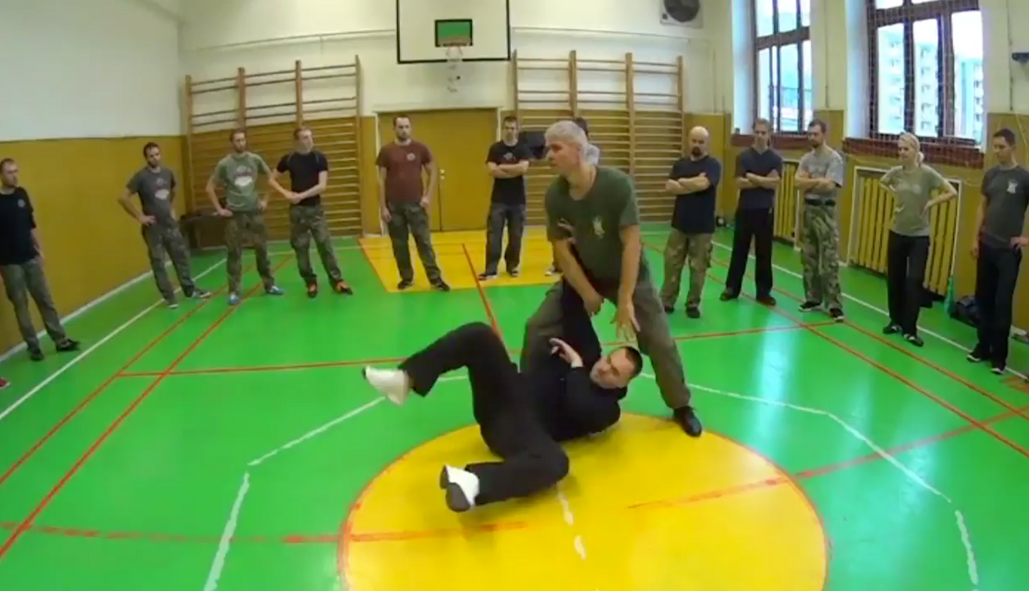 RMA Systema SV Czech Republic Seminar 2017 Vol 2 with Dmitry Skogorev (On Demand) - Budovideos