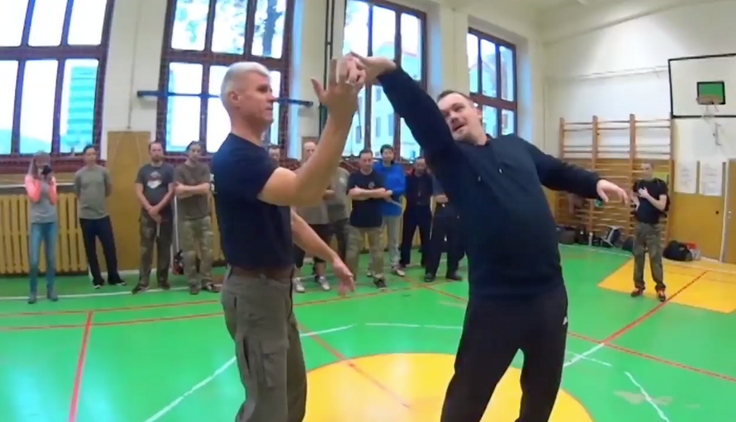 RMA Systema SV Czech Republic Seminar 2017 Vol 2 with Dmitry Skogorev (On Demand) - Budovideos