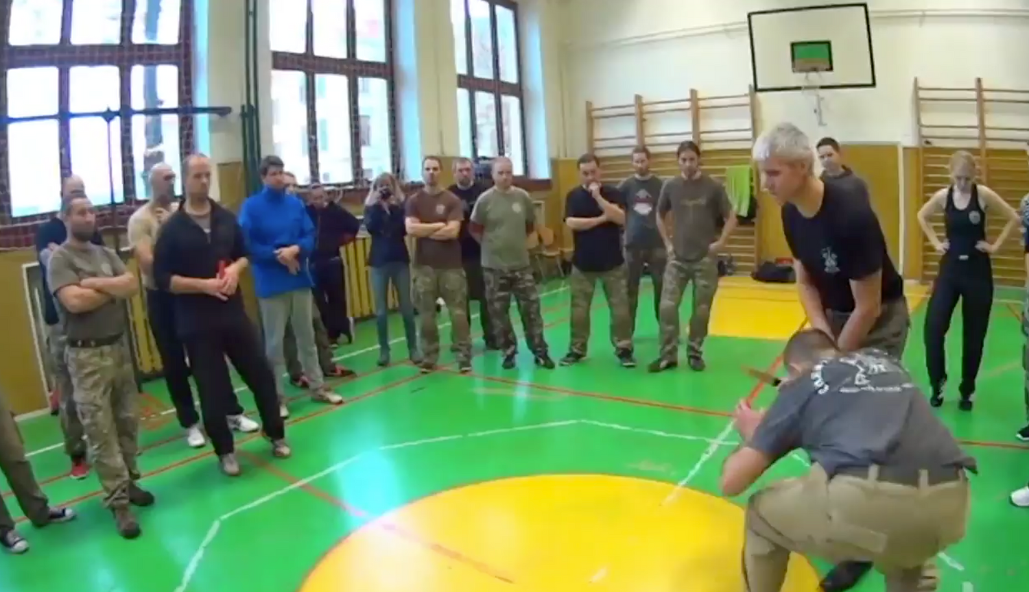 RMA Systema SV Czech Republic Seminar 2017 Vol 3 with Dmitry Skogorev (On Demand) - Budovideos