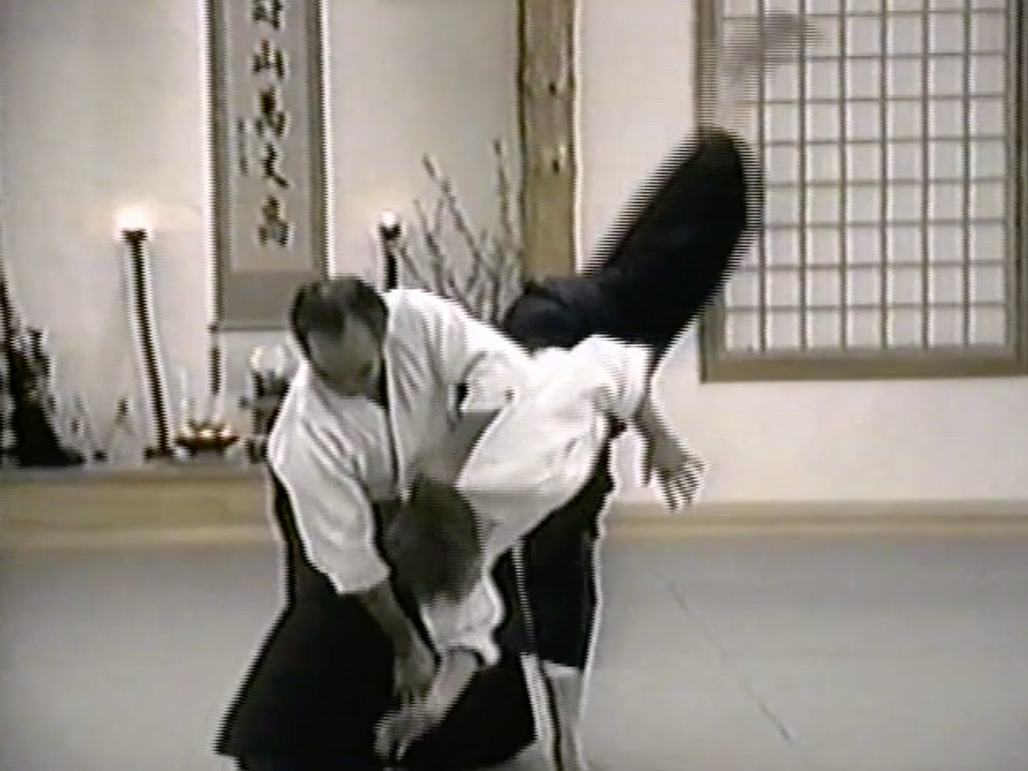 Aikido Technical Guidelines 4 DVD Set by TK Chiba (Preowned) - Budovideos