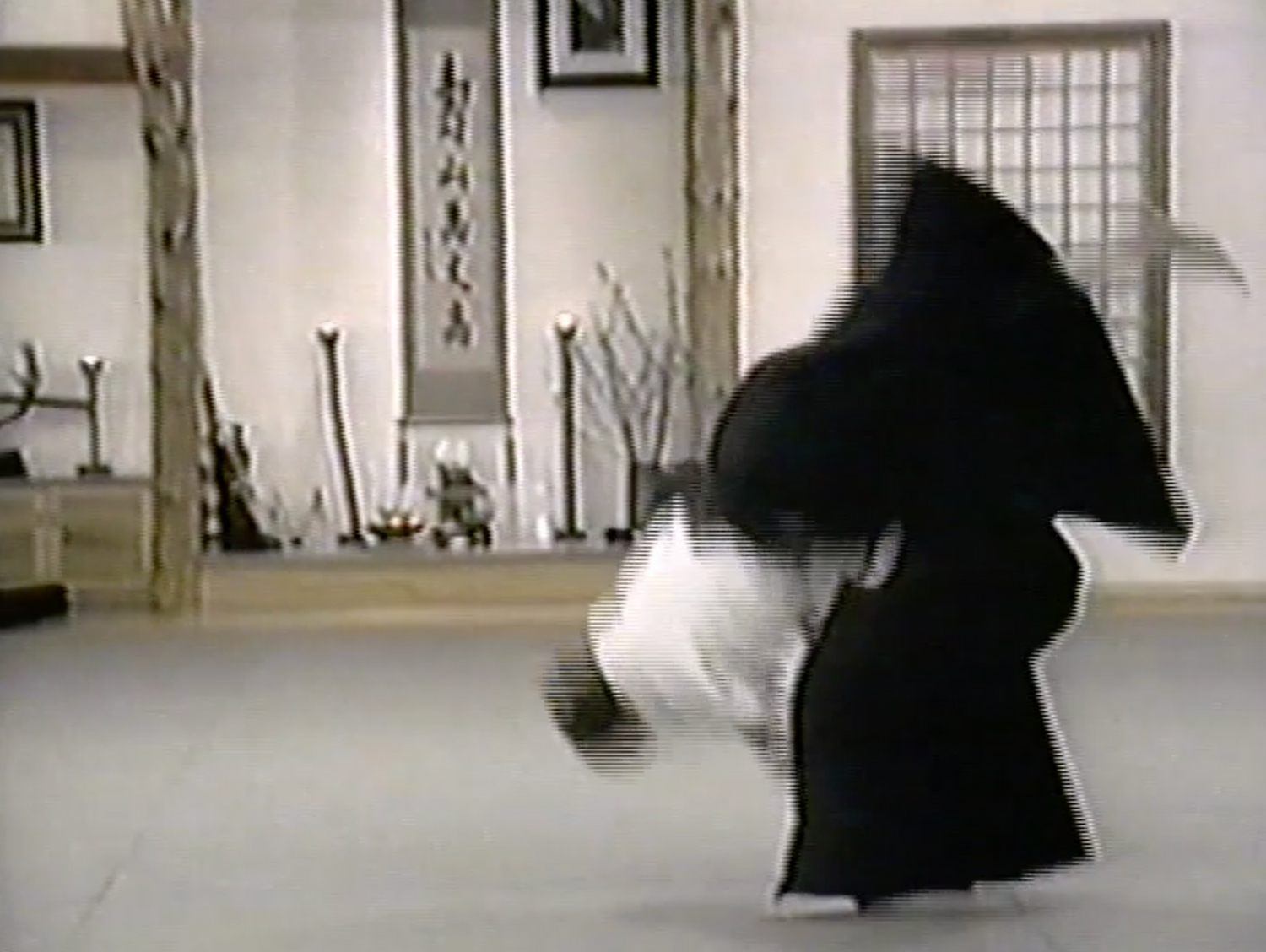 Aikido Technical Guidelines 4 DVD Set by TK Chiba (Preowned) - Budovideos