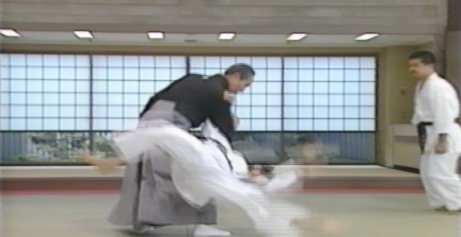 Daito Ryu Aikijujutsu Kuden Book & VHS Set by Seigo Okamoto (Preowned) - Budovideos Inc