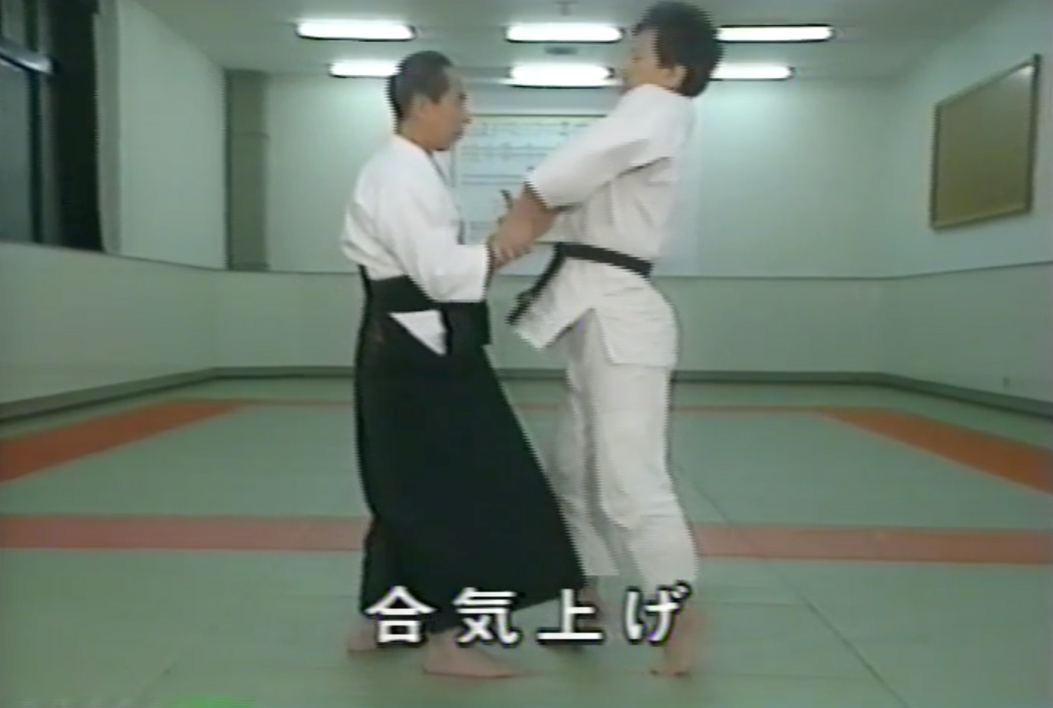 Daito Ryu Aikijujutsu Secrets Book & VHS Set by Seigo Okamoto (Preowned) - Budovideos Inc