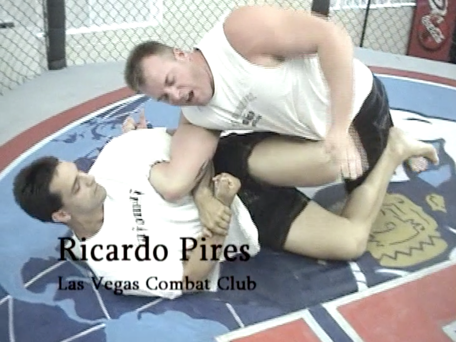 Tools of the Trade BJJ Instructional & Video Magazine DVD (Preowned) - Budovideos