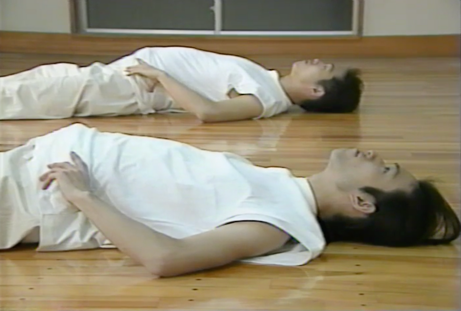 Hida Style Health Techniques Book & VHS (Preowned) - Budovideos