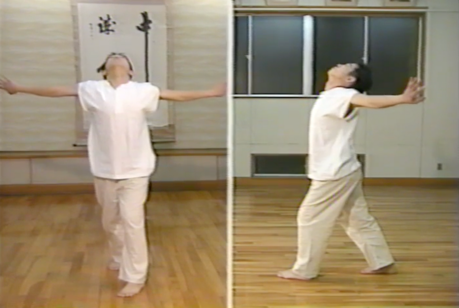 Hida Style Health Techniques Book & VHS (Preowned) - Budovideos