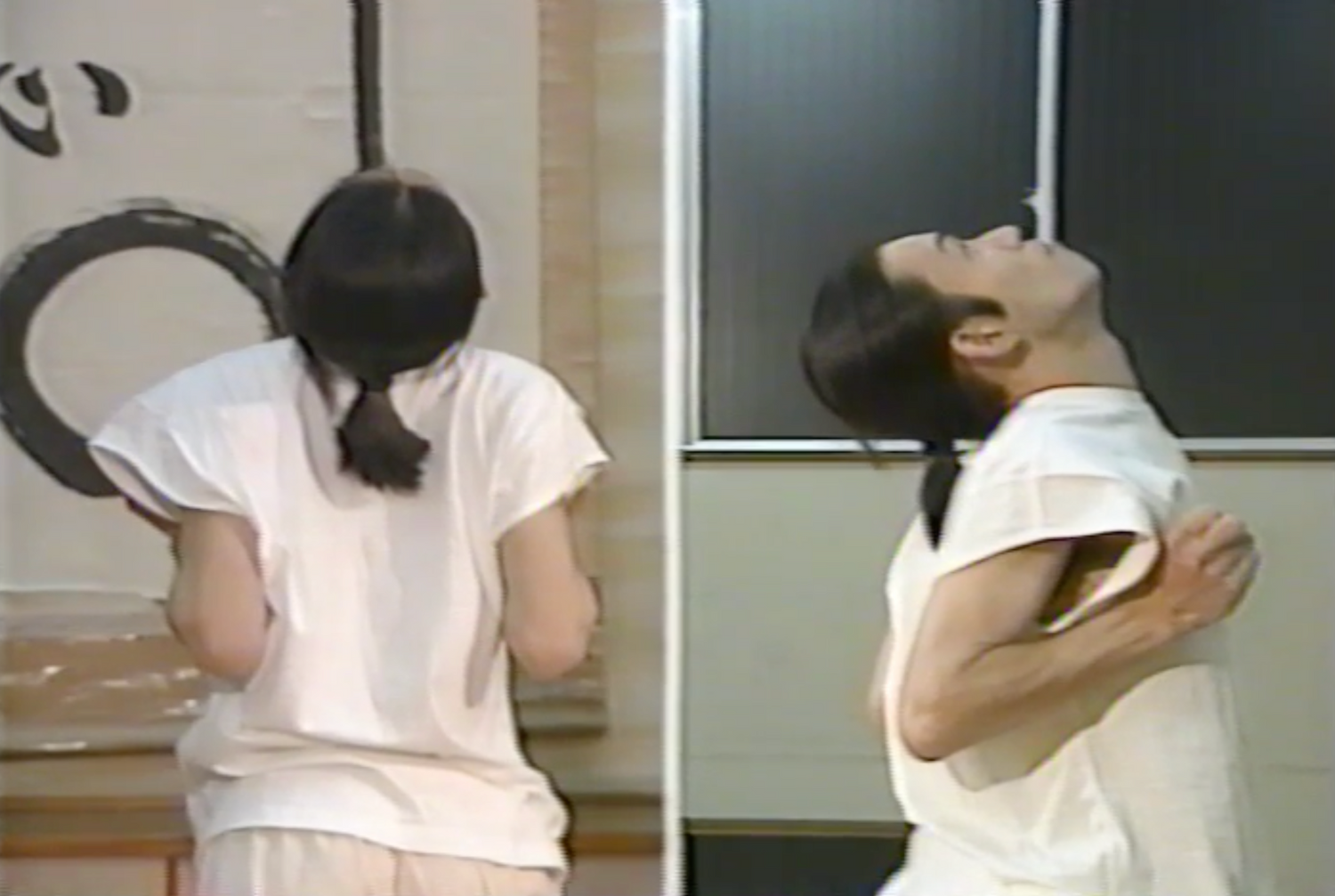 Hida Style Health Techniques Book & VHS (Preowned) - Budovideos