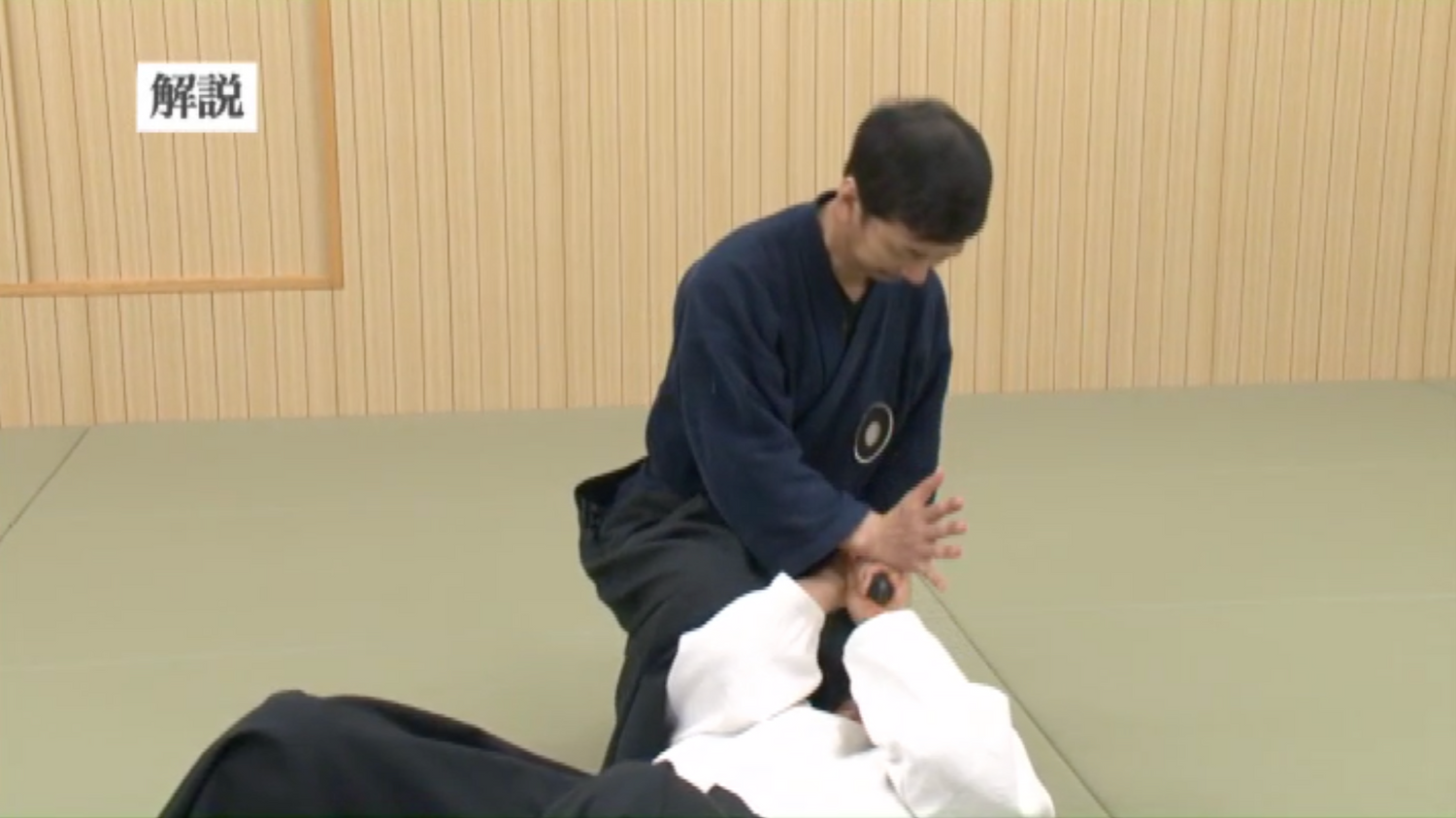 Daito Ryu Aikijujutsu Iaishinken Ryu Aiki No Iai DVD with Shudai Makita - Budovideos Inc